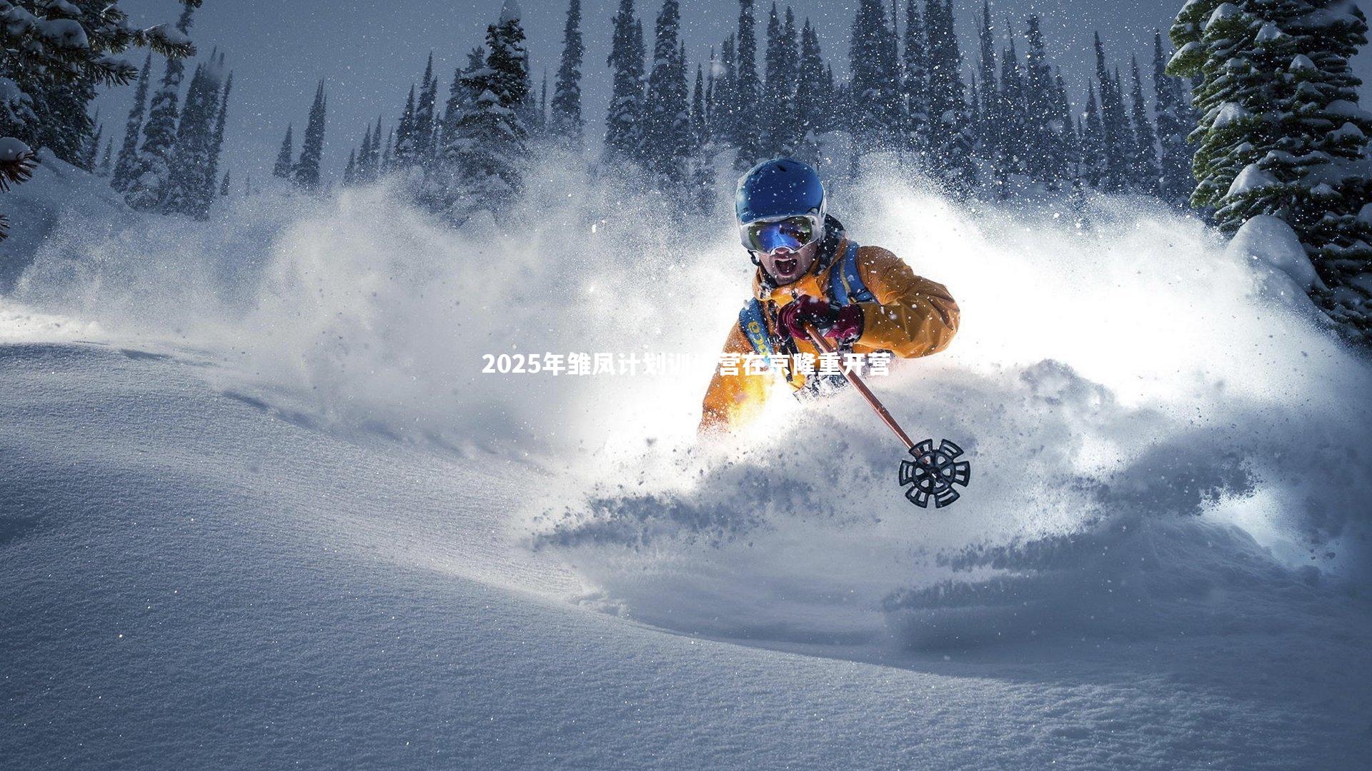 2025年雏凤计划训练营在京隆重开营