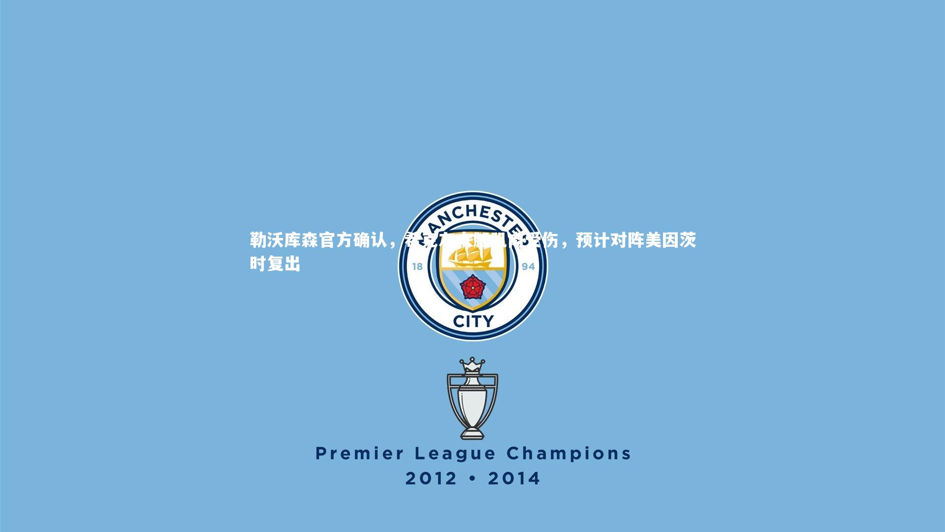 勒沃库森官方确认,希克左大腿肌肉受伤,预计对阵美因茨时复出